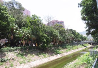 A river with trees and buildings in the background

AI-generated content may be incorrect.